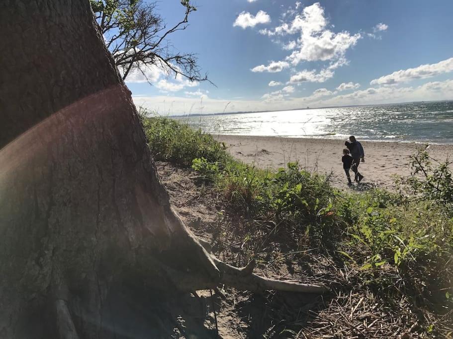 Stilvolles Reetdachhaus Coastline An Der Ostsee Gross Schwansee Bagian luar foto